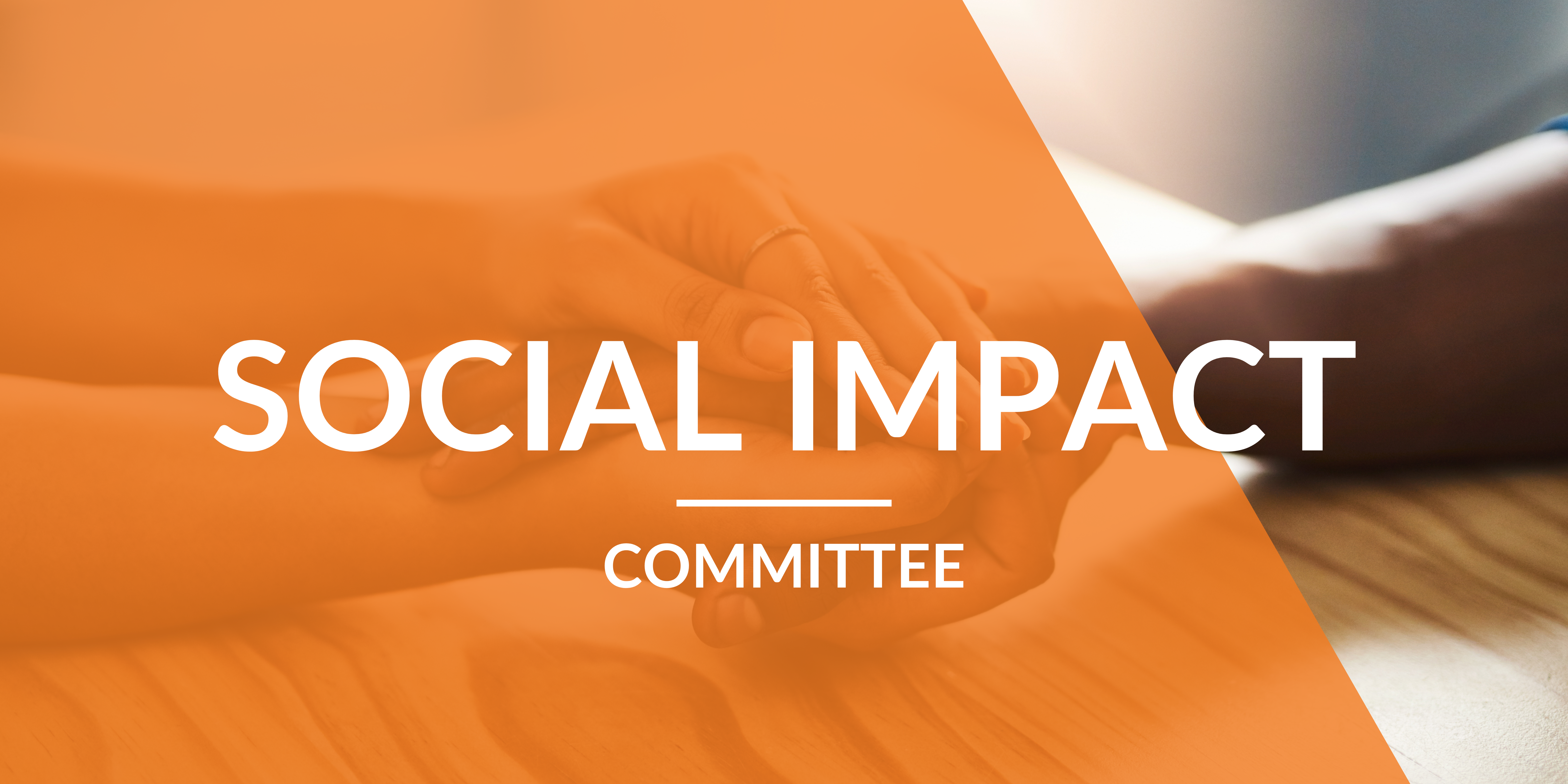 Social Impact Committee